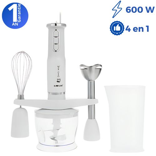 Haeger Robot Mixeur plongeant -  4 en 1 - 600W - 3 vitesses
 Fiche Technique et Prix au Maroc