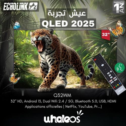 Echolink 32 QLED Système WhaleOS Wifi Dual 2.4/5GHz, Bluetooth + Support gratuit
 Fiche Technique et Prix au Maroc